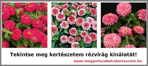 Tekintse meg kertészetem rézvirág kínálatát!