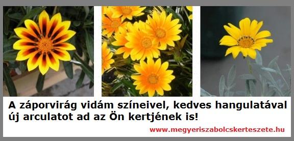 Záporvirág kapható kertészeti webáruházamban!