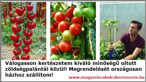 Oltott zöldségpalánták vásárolhatók kertészetemben!
