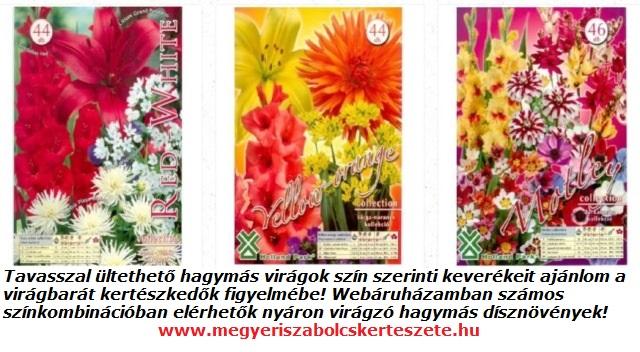 Tavasszal ültethető hagymás virágok a Megyeri kertészetben!